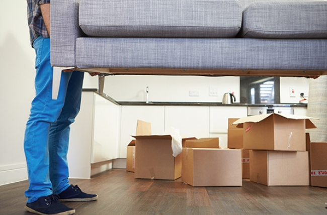 furniture removals insurance